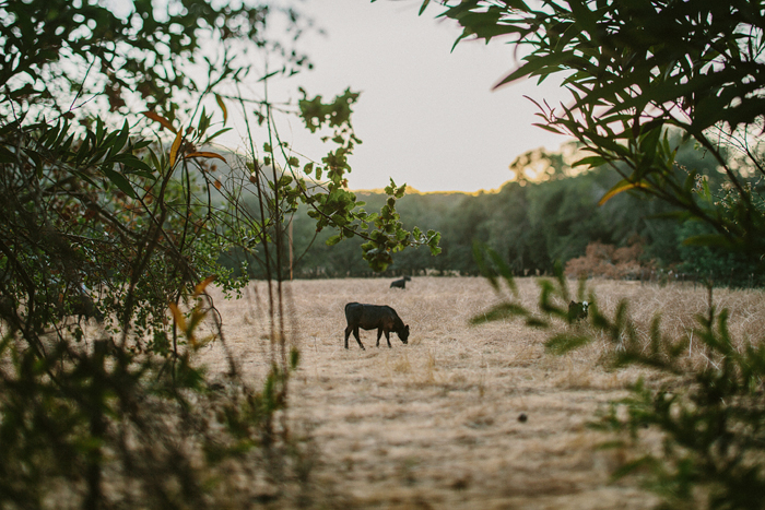 RuthAndJeff_Jonas_Seaman_1005